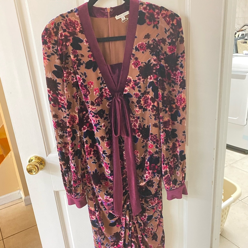 Ronny Kobo Velvet Floral Midi Dress